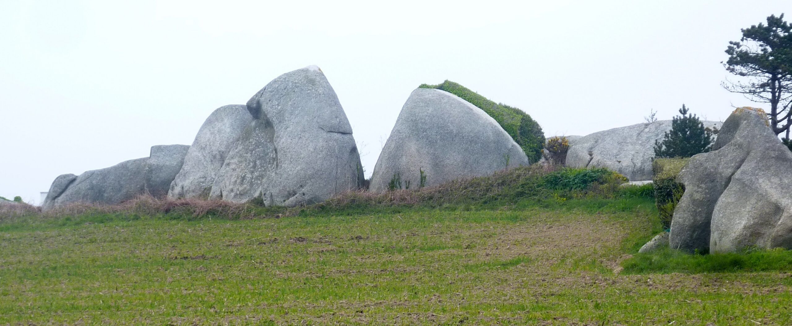 Transgression flandrienne